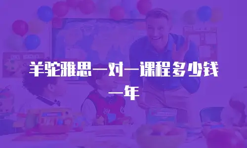 羊驼雅思一对一课程多少钱一年
